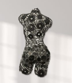 complexed Female Torso  Wall Art