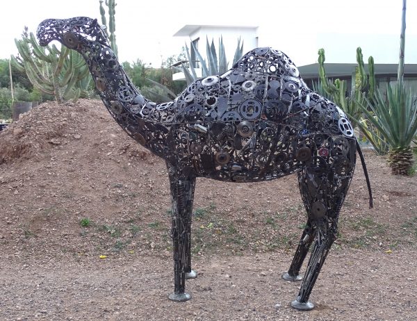 desert scrap camel statue.