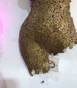 Metal Female Torso scrap Mannequin, Wall Art Sculpture | Handmade Steel statue - Image 3